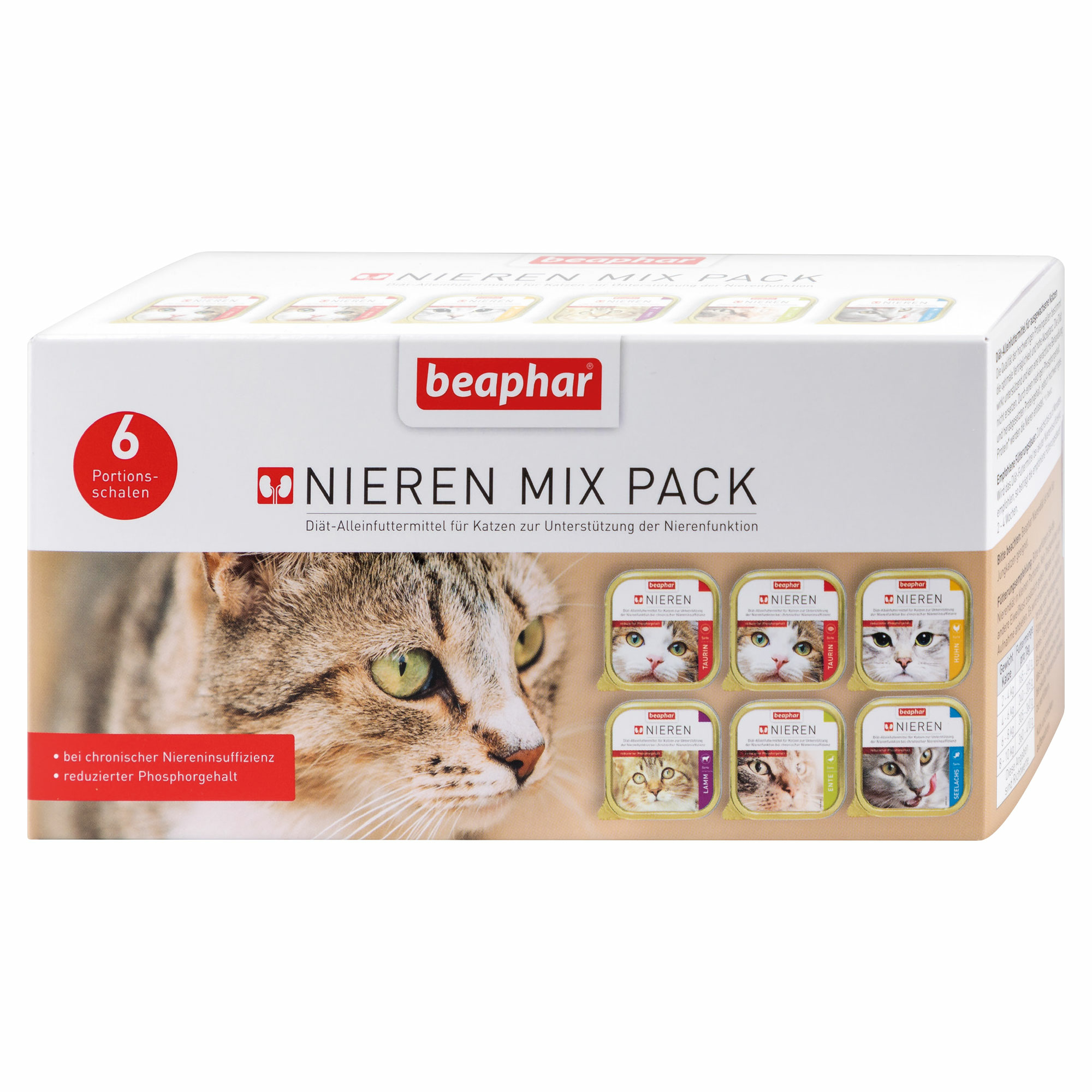 Nierendiät