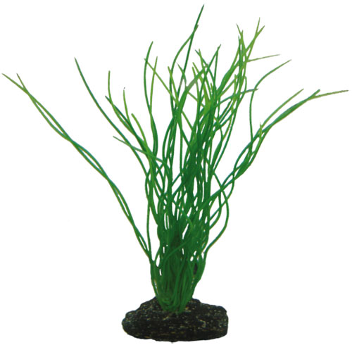 Dohse Aquaristik