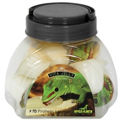 Reptiles Planet