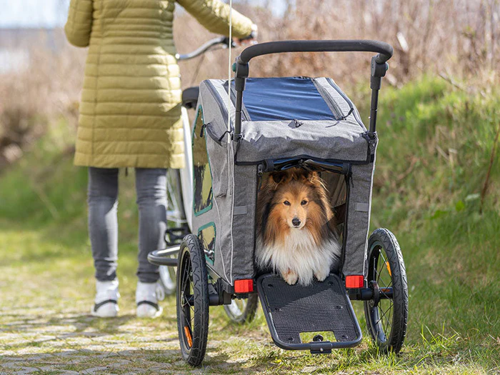 Fahrradanhänger & Fahrradzubehör für Hunde