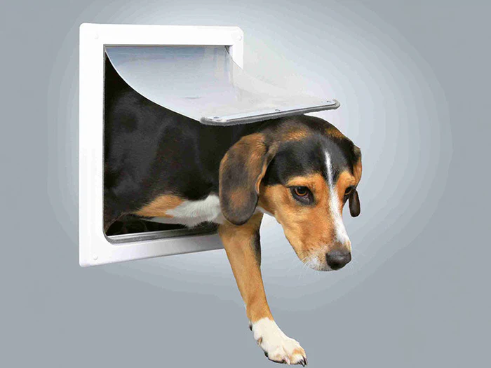 Hundetüren