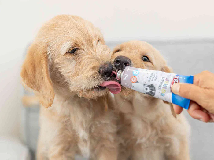 Leberwurst und Pasten für Hunde