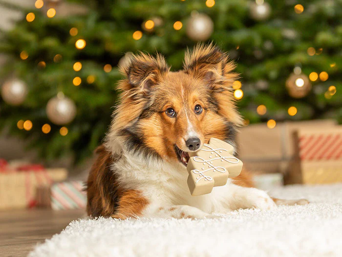 Weihnachtsartikel für Hunde