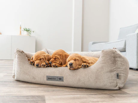 Hundebetten