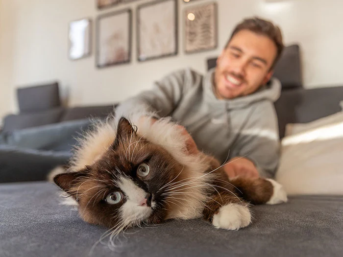 Alles für deine Katze in der Heimtierworld
