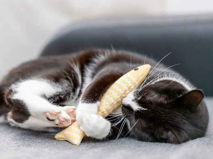 Spielmäuse, Tiere & Bälle für Katzen
