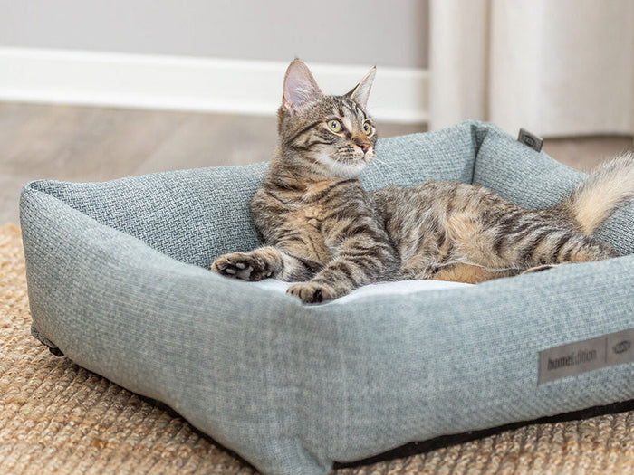 Katzenbetten