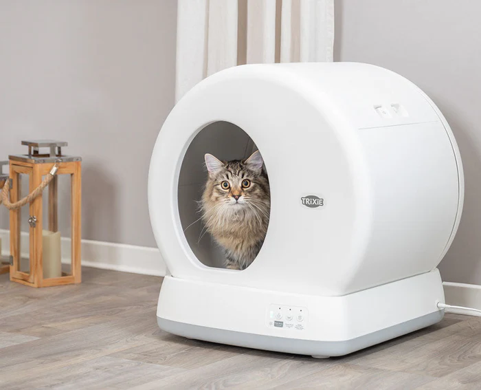 Katzentoiletten
