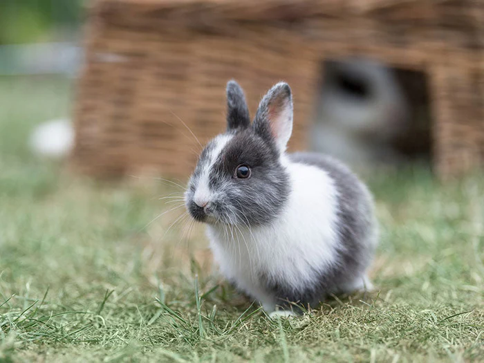 Alles für deine Kleintiere in der Heimtierworld