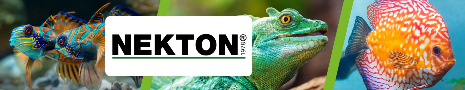 Nekton