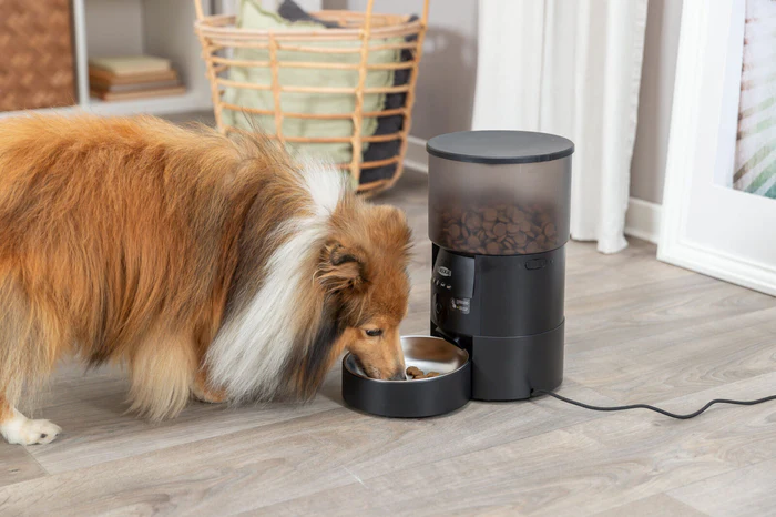 Pawtronics - Elektrozubehör für den Alltag mit deinem Hund