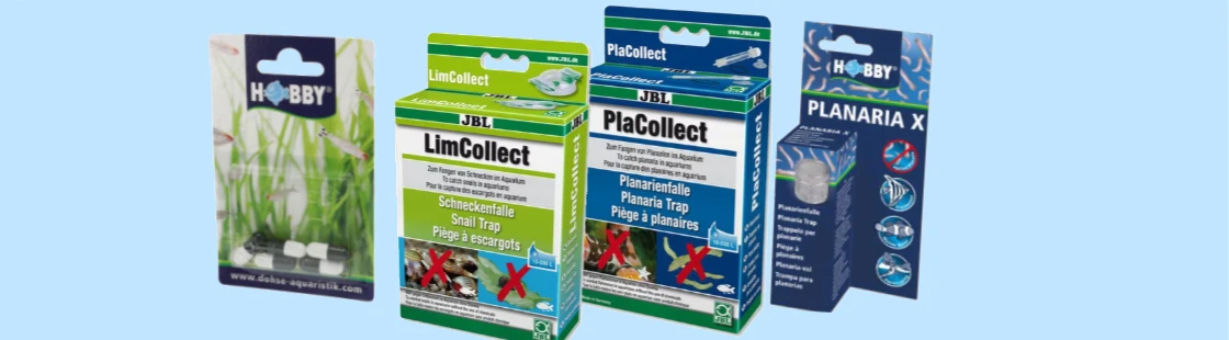 Sonstige Plagegeister