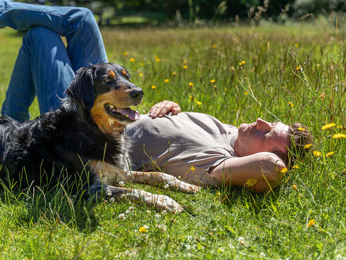 Sommer mit Heimtierworld