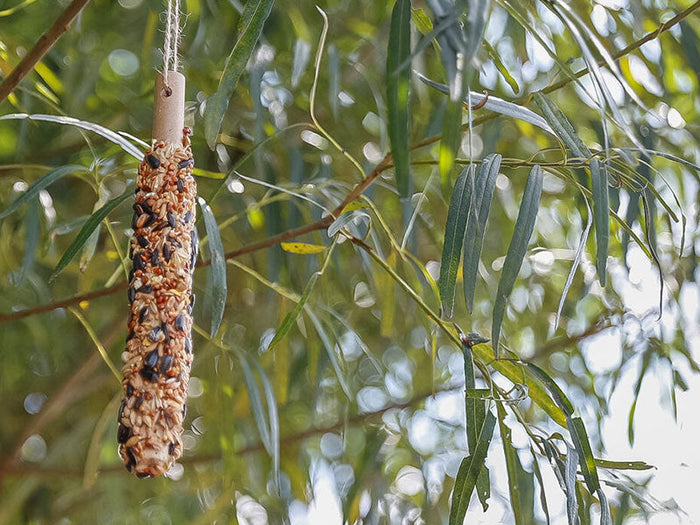 Vogelfutter