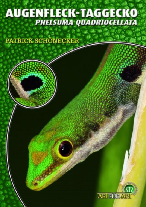 Taggeckos