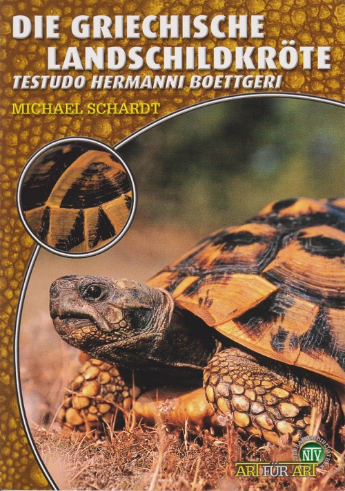 Landschildkröten