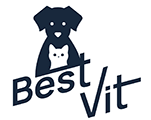 Best Vit