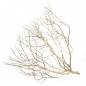 Preview: Desert Bush