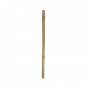 Preview: Bamboo Stix