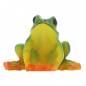 Preview: The Frog