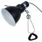 Preview: Clamp Lamp Die sichere Terrarienleuchte