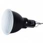 Preview: Clamp Lamp Die sichere Terrarienleuchte