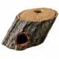 Preview: Wood Cave