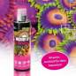 Preview: VITAMINS - Vitamine & Aminos (Meerwasser)