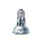 Preview: Halogen Heat Lamp 35 Watt