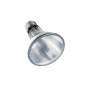 Preview: Halogen Heat Lamp 35 Watt