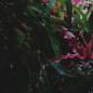 Preview: Jungle Dawn LED Bar