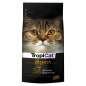 Preview: TROPICAT DIGEST