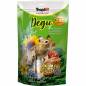 Preview: Degu