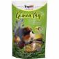 Preview: Guinea Pig
