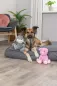 Preview: Schweinchen