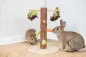 Preview: Futterbaum