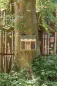 Preview: Insektenhotel