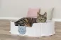 Preview: Bett Emelie