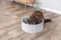 Preview: Kratzpappe für Katzen mit Filzrand