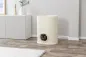 Preview: Cat Tower Arina