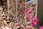Preview: Bienenhotel
