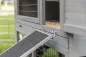 Preview: Rampe