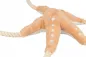 Preview: BE NORDIC Seestern Jane