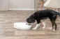 Preview: Futterautomat TX4+1 (F10) für Hunde und Katzen mit Kühlung für Nassfutter