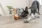 Preview: Affe