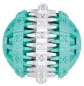 Preview: Denta Fun Ball