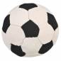 Preview: Canvas-Ball im Display
