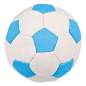 Preview: Canvas-Ball im Display
