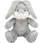 Preview: Hase