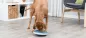 Preview: Slow Feeding Napf Rocking Bowl
